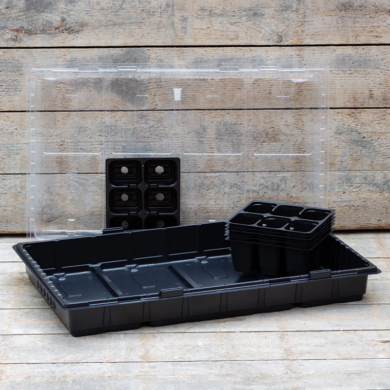 Miniatuur 2
