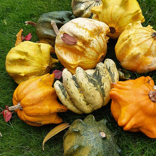 Miniatuur 1