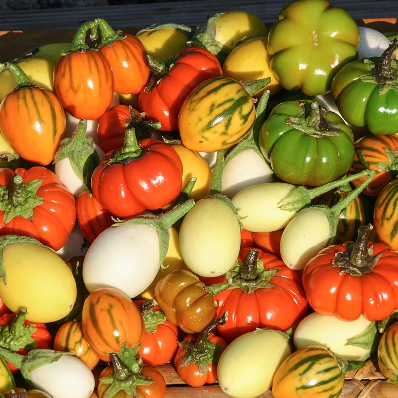 Productafbeelding 1