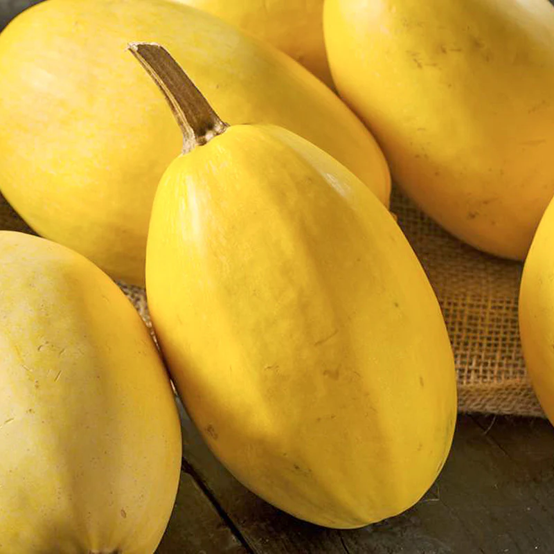 Pompoenen