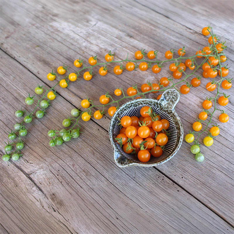 Tomaten