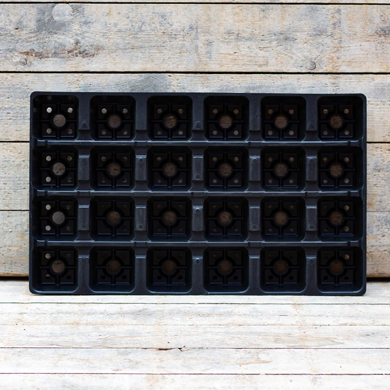 Miniatuur 2